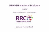 NEBOSH National Diploma -  · PDF fileNEBOSH National Diploma. UNIT B . ... relevant awarding body (e.g. NEBOSH, IOSH, IEMA) ... Unit B – Element B7: Physical Agents 2