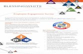 Employee Engagement Survey - BlessingWhiteblessingwhite.com/.../2014/06/eEmployee-engagement-surveyUK.pdf · Employee Engagement Survey ... mere job satisfaction) ... responsibility-of-employee-engagement