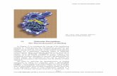 12. Molecular Recognition: The Thermodynamics of · PDF file12. Molecular Recognition: The Thermodynamics of Binding ... binding to a receptor. When the binding of one of ... fractional