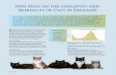 New Data on the Longevity and Mortality of Cats in England · PDF fileCats that lived for 5 years or longer Half of all mortalities in cats that lived for 5 years or longer were due