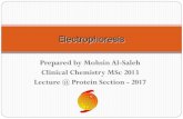 Prepared by Mohsin Al-Saleh Clinical Chemistry MSc 2013 Lecture …mohsinalsaleh.com/wp-content/uploads/2017/03/Protein... ·  · 2017-03-21Clinical Chemistry MSc 2013 Lecture @