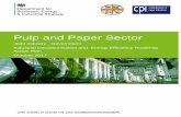 Pulp and Paper Sector - Welcome to GOV.UK 2/38 Foreword from the Minister of State With industry representing nearly a quarter of UK emissions, helping industrial sectors decarbonise