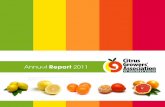 Annual Report - iLink 24/73b5dca501ee1e6d8cd7b905f4e1bf723.cdn.ilink247.com...4 Citrus Growers’ Association of Southern Africa Annual Report 2011 Transformation Citrus Growers Development