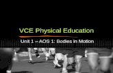 VCE Physical Education - Mullauna college pe/sciencemisscbarr.weebly.com/uploads/1/0/6/5/10652660/2016... · perform a wide variety of tasks; ... Ligaments stabilise joint. Synovial