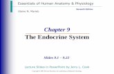 The Endocrine System -  · PDF fileElaine N. Marieb Chapter 9 ... Copyright © 2003 Pearson Education, Inc. publishing as Benjamin Cummings Slide 9.6 ... 2/1/2016 12:28:46 PM