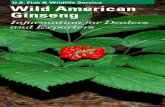 Wild American Ginseng: Information for Dealers and … and exporters play an important role in maintaining healthy populations of American ginseng. Without your help, wild ginseng