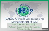 KDIGO Clinical Guidelines for Management of AKIcriticalcarecanada.com/presentations/2012/kdigo_guidelines_for... · KDIGO Clinical Guidelines for Management of AKI Noel Gibney MB