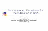 Recommended Procedures for the Extraction of · PDF file · 2009-12-23Sample types and processing methods RRT-PCR can detect inactivated virus Virus isolation, RRT-PCR not recommended