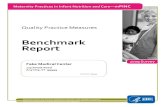 mPINC Sample Benchmark Report - Centers for   Sample Benchmark Report mPINC Sample Benchmark Report