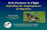 DoD Partners in Flight - · PDF filenetwork. Partners in Flight . DoD Partners in Flight The DoD Partners in Flight program sustains and enhances the military testing, ... DoD PIF