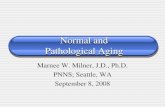 Normal and Pathological Aging - PNNS. · PDF fileNormal and Pathological Aging Marnee W. Milner, J.D., ... pathological aging Theories of cognitive aging ... Natural anti-oxidents