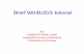 Brief WinBUGS tutorial - DME – IM – UFRJ WinBUGS tutorial By Hedibert Freitas Lopes Graduate School of Business University of Chicago