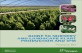 Publication 841, Guide to Nursery and Landscape Plant ...omafra.gov.on.ca/english/crops/pub841/pub841.pdf · GUIDE TO NURSERY AND LANDSCAPE PLANT PRODUCTION AND IPM iv Introduction