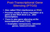 Post-transcriptional Gene Silencing (PTGS) - · PPT file · Web view · 2012-01-03Post-Transcriptional Gene Silencing (PTGS) Also called RNA interference or RNAi Process results