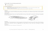 PHYLUM: PLATHYHELMINTHES - Conservation | Education · PDF filePHYLUM: PLATHYHELMINTHES ... CHARACTERISTICS ... Provide the Phylum and common name of the animals illustrated in the