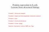Protein expression in E.coli: Lessons from structural · PDF fileProtein expression in E.coli: Lessons from structural biology Problem 1: ... •Posttranslational modification ...