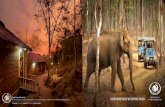A RENDEZVOUS WITH THE WILD. - Jungle · PDF fileA RENDEZVOUS WITH THE WILD. ... NATIONAL PARK, AND ON THE FOOTHILLS OF THE NILGIRI ... • Coracle ride • Wildlife safari • River