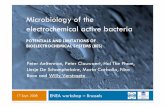 Microbiology of the electrochemical active bacteria - systems: MFC (Microbial Fuel Cell) MEC (Microbial Electrolysis Cell) Chemical oxidation Microbial oxidation Chemical reduction