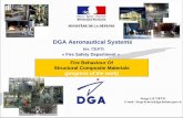 DGA Aeronautical Systems - FAA Fire Safety · PDF fileDGA Aeronautical Systems (ex. CEAT) « Fire Safety Department » Serge LE NEVE E-mail : Serge.le-neve@dga.  Fire