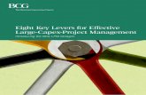 Eight Key Levers for Effective Large-Capex-Project … the dynamics of companies and markets with ... nies, as well as on engineering, procurement, and construction (EPC) contractors