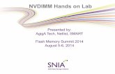 NVDIMM Hands on Lab - SNIA NVDIMM Demo SIG HOL Aug'14... · NVDIMM Hands on Lab Presented by: AgigA Tech, Netlist, SMART Flash Memory Summit 2014 August 5-6, 2014 . Hands-On Lab …
