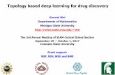 Topology based deep learning for drug discoveryusers.math.msu.edu/users/wei/Topology2017.pdf · Poincare-Hopf index Morse theory. ... topological fingerprints Feature vector Training