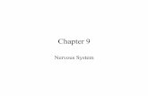 HChapter 9--Bio 163 class notes transmit impulses along nerve fibers to other neurons ... Classification of Neurons ... HChapter_9--Bio_163_class_notes