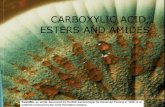 CARBOXYLIC ACID, ESTERS AND AMIDES - Wikispacesids-chem3. ACID,+ESTERS+ · PDF fileCARBOXYLIC ACID, ESTERS AND AMIDES . INTRODUCTION CARBOXYLIC ACIDS, ESTERS and AMIDES are ... uses