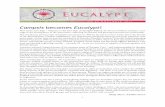 Campsis becomes Eucalypt - f · PDF fileCampsis becomes Eucalypt! ... even with your eyes shut you can sense the eucalypts that so often dominate Australian landscapes, ... The diversity