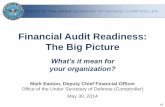 Financial Audit Readiness: The Big Picture - · PDF fileFinancial Audit Readiness: The Big Picture What’s it mean for your organization? Mark Easton, ... • Wave 2: SBR Audit Readiness