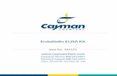 Endothelin ELISA Kit - Cayman Chemical · PDF fileEndothelin ELISA Kit Item No. 583151. ... formula on of proteins. 2. ... This reagent consists of acetylthiocholine and 5,5’-dithio
