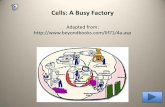 Cells: A Busy Factory Adapted from: … A Busy Factory Adapted from:  Author: Michele Murphy-Jones Created Date: 5/21/2013 1:09:47 PM ...