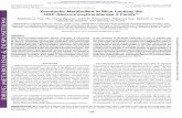 Xenobiotic Metabolism in Mice Lacking thedmd.aspetjournals.org/content/dmd/43/12/1838.full.pdf · Wanda M. Bodnar, and Beverly H. Koller Department of Genetics (M.J.F., M.T.N., J.N.S.,