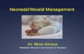Neonatal Wound Management - University of Texas … Wound Care.pdfNeonatal Wound Management Dr. Rene Amaya Pediatric Wound Care Center of Houston Objectives Discuss ... Increased risk