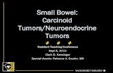 Small Bowel: Carcinoid Tumors/Neuroendocrine · PDF fileStomach 20-30% ... Cardiac lesions of carcinoid tumors mainly involve the right side of the heart and are usually limited to