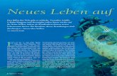 Den Riffen der Welt geht es ... - natuerlich- · PDF fileAnker auswerfen, werden die Riffe ... Ein zu starker Algenbewuchs verhindert ... Die Form der Betoniglus kann an den