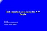 Post operative assessment for A-V fistula - HKL Vascularhklvascular.org/pdf/download/s3/HKLVascularSurgeryWorkshop2012.pdf · Post operative assessment for A-V fistula ... AVF Post-cre