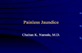 Painless Jaundice - Chaitan K Narsule, MD | | Boston ... â€¢ Cholangiocarcinoma â€¢ Pancreatic cancer. Bilirubin and the Diagnostic Evaluation of Jaundice. About Bilirubin