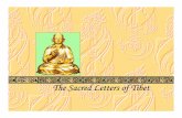 The Sacred Letters of Tibet - Tamil Heritage Foundationtamilheritage.org/kidangku/DrSwaminathan/scripts/11_Tibetan.pdf · Tibet adopted government organization and social standards