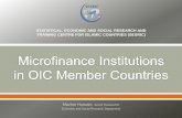 STATISTICAL, ECONOMIC AND SOCIAL RESEARCH · PDF fileSTATISTICAL, ECONOMIC AND SOCIAL RESEARCH AND TRAINING CENTRE FOR ISLAMIC COUNTRIES (SESRIC) Mazhar Hussain, Senior ... accounting