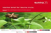 Market Brief for Sacha Inchi. - biotrade.org docs/Peru/Peru... · 7.1.1 Marketing a speciality oil: ... women of several Peruvian ethnic groups mix sacha ... (Moisturizing cream,