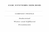 CGE SYSTEMS SDN Systems Sdn Bhd - Company Profile. · PDF fileCGE SYSTEMS SDN BHD COMPANY PROFILE ... 4.1.12 Ansell Malaysia Sdn Bhd ... Genting Sanyen Utilities & Services Sdn Bhd