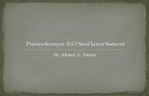 Dr. Ahmet U. Demir -  · PDF filepnömokonyoz radyografilerini okuma esasları