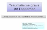 Traumatisme grave de labdomen - Association de médecine ... · PDF file– Förster R, Pillasch J, Zielke A, Malewski U, Rothmund M. Ultrasonography in blunt abdominal trauma : influence