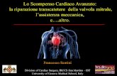 Lo Scompenso Cardiaco Avanzato: la riparazione ... · PDF fileLo Scompenso Cardiaco Avanzato: la riparazione transcatetere della ... The increasing routine use of ventricular assist