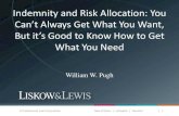 Indemnity and Risk Allocation: You an’t Always Get … Professional Law Corporation New ... Indemnity and Risk Allocation: You an’t Always Get What You Want, ut it ... •Where