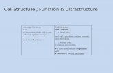 Cell Structure , Function & Ultrastructu · PDF fileCell Structure , Function & Ultrastructure Learning Objectives 2.1.2 Cell Structure and Function Components of the cell as seen