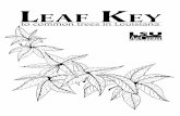 LEAF KEY - LSU AgCenter you will find that tree identification is basic to advanced studies in many fields, including forestry, botany, horticulture, wildlife, ecology and landscape
