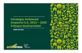 Estrategia Ambiental Ecopetrol S.A. 2012 –2020 Enfoque ... n ECOPETROL.pdf · PDF fileContribuimos a garantizar la sostenibilidad de Ecopetrol: Minimizando riesgos en nuestras operaciones