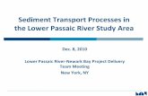 Sediment Transport Processes in the Lower Passaic …passaic.sharepointspace.com/Public Documents/2010-12-08 PDT...Sediment Transport Processes in the Lower Passaic River Study Area